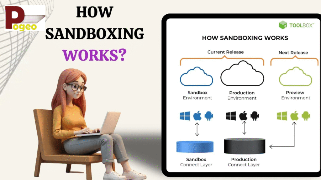 What Is a Sandbox Environment