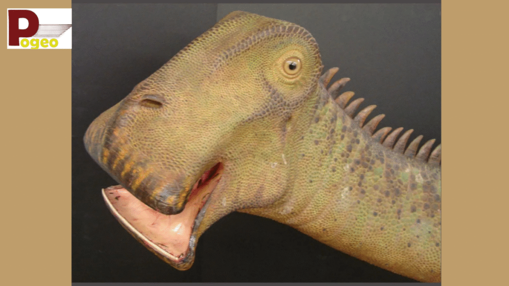 What Is Nigersaurus?