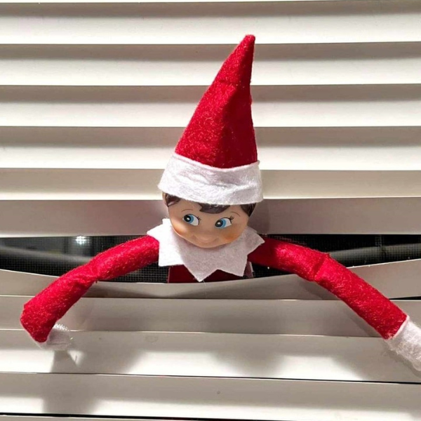 Elf Hiding in Plain Sight