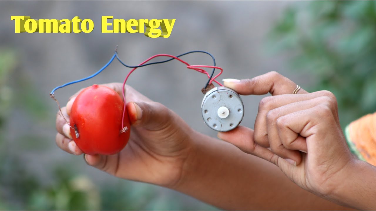 Tomato Energy: Revolutionizing Renewable Energy Solutions for the Future
