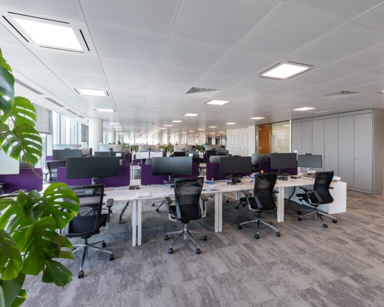 Ruffer Investment Company
