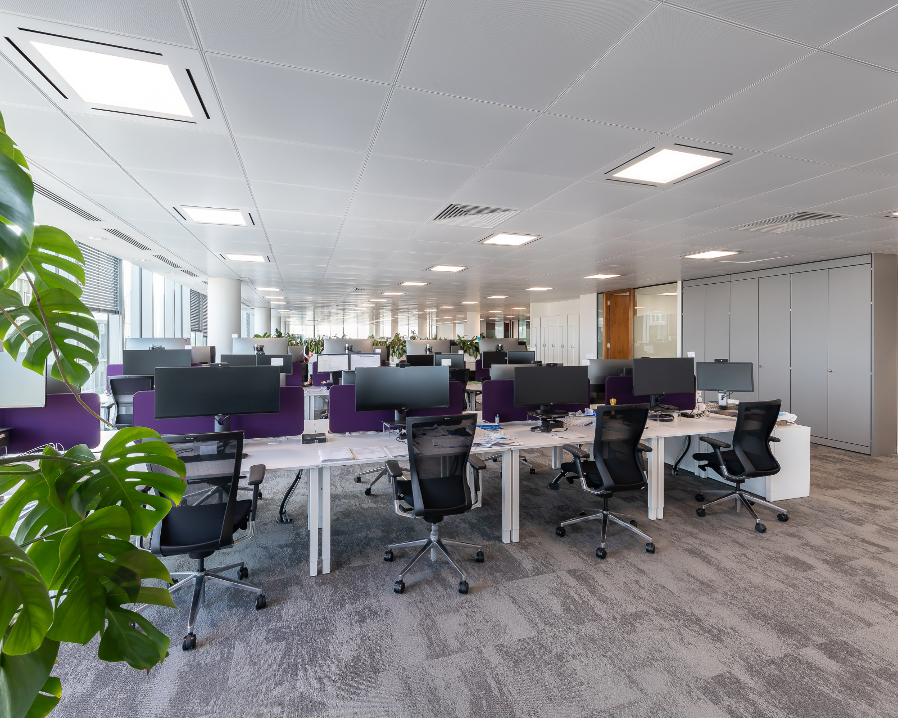 Ruffer Investment Company