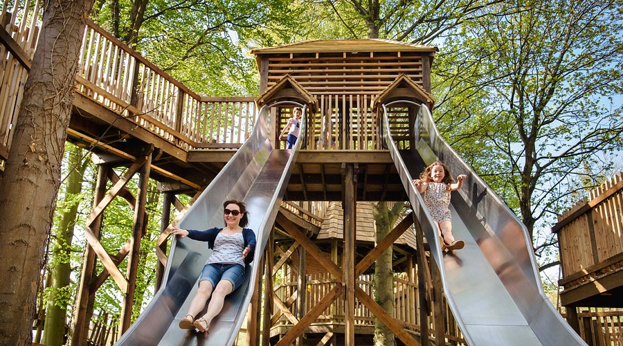 Dalkeith Country Park: Top Family Adventure & Outdoor Activities Near Edinburgh
