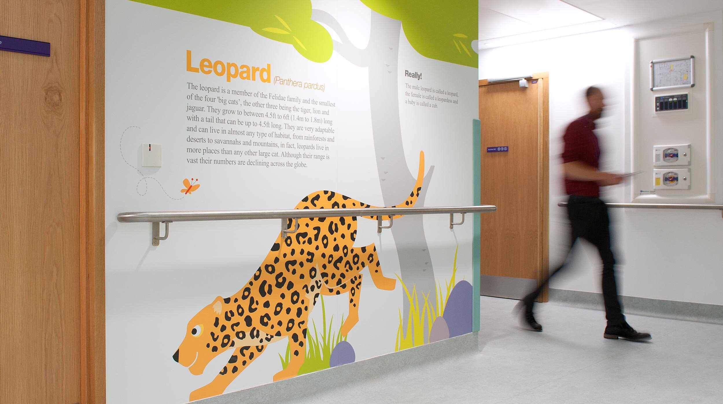 Graphic Design Agency Cambridge