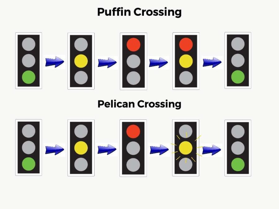 Which Colour Follows the Green Signal at a Puffin Crossing