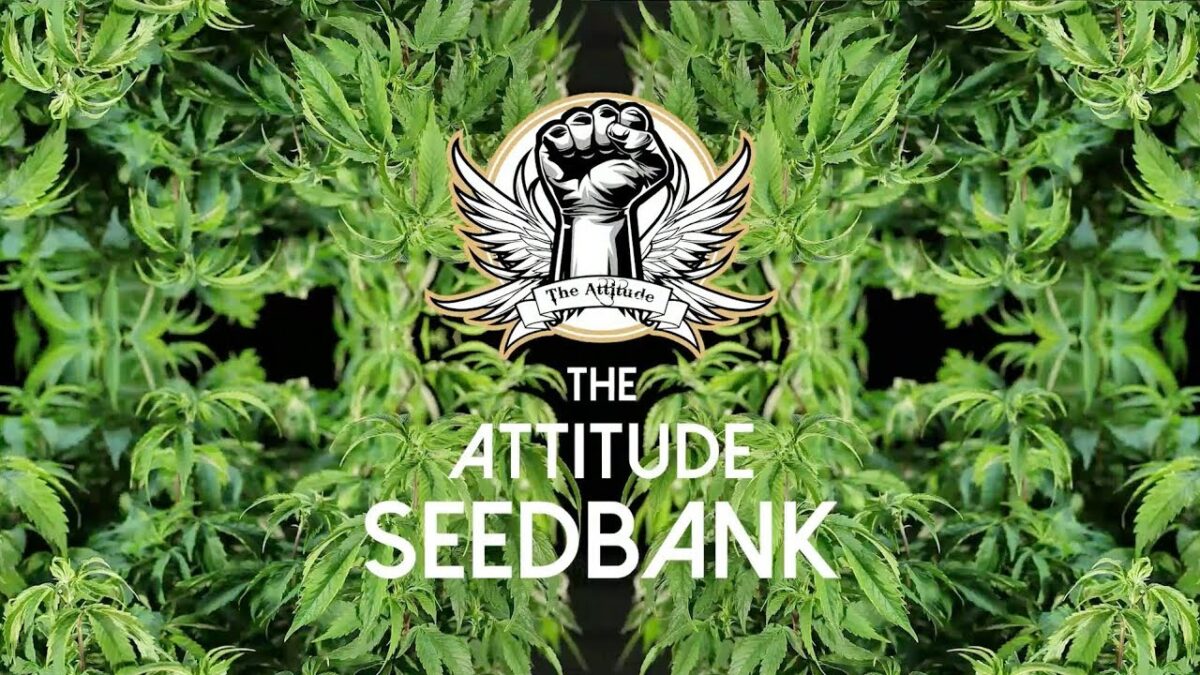 Attitude Seed Bank