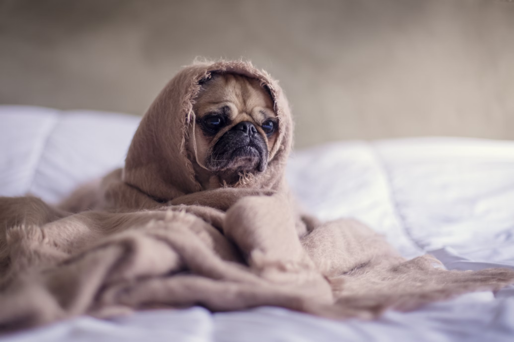 The Dangers of Excessive Thinking: From Stress to Burnout