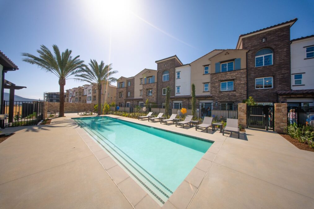 Palmera Camarillo