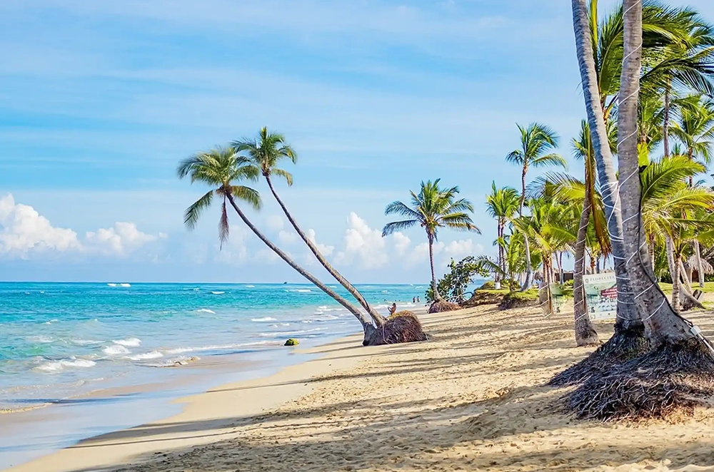 Playa Palmera Punta Cana
