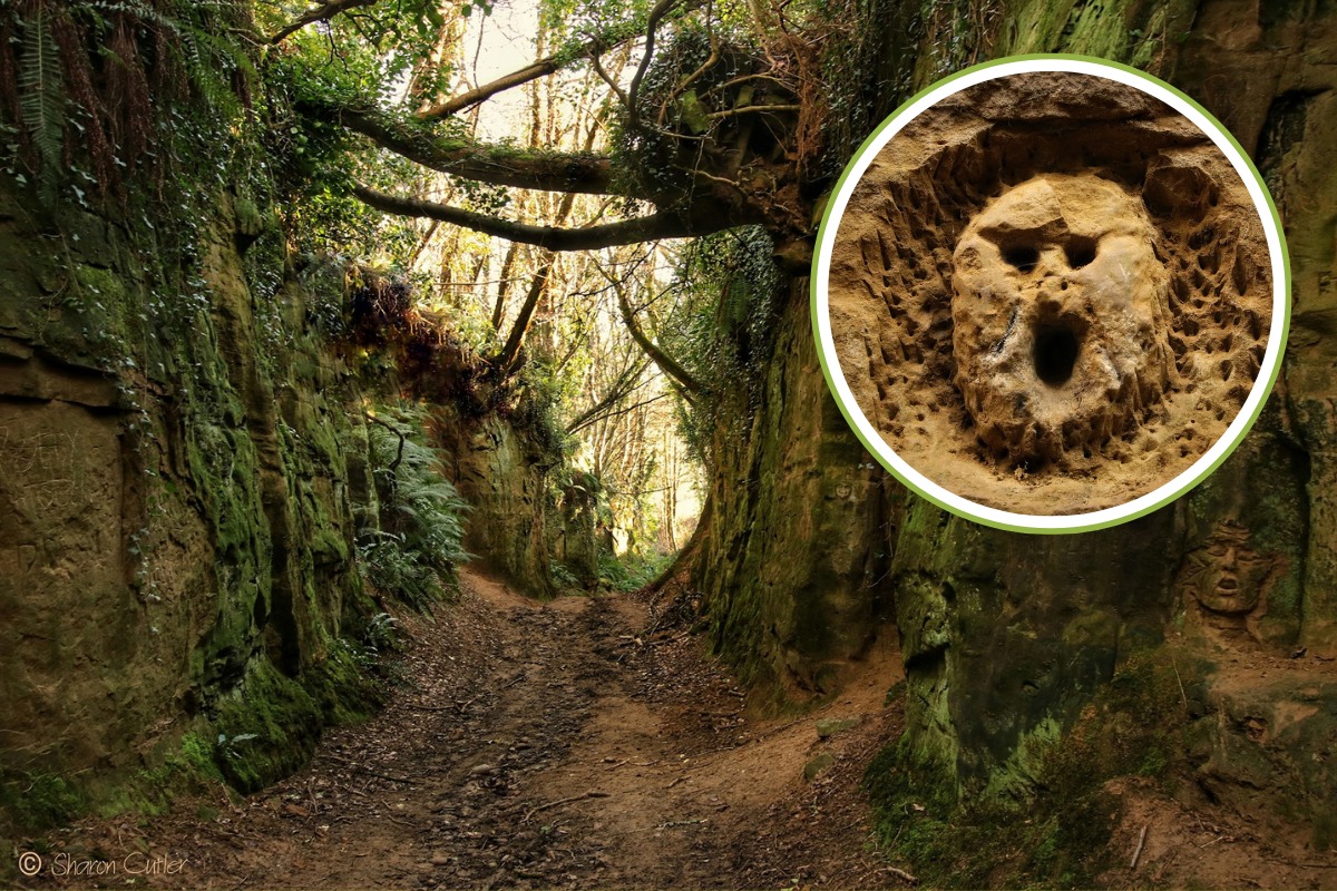 Shutes Lane Dorset – Explore the Mysterious Ancient Holloway