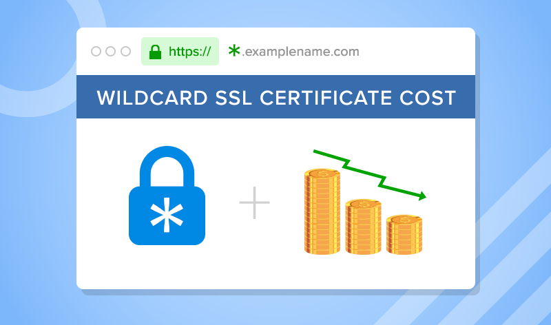 What Is an SSL Wildcard? A Guide to Securing Your Subdomains