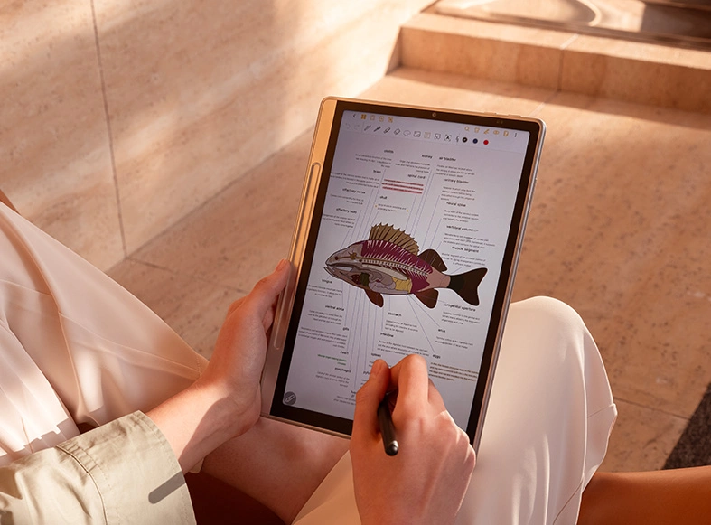 Finding the Best Tablet for Reading of 2026