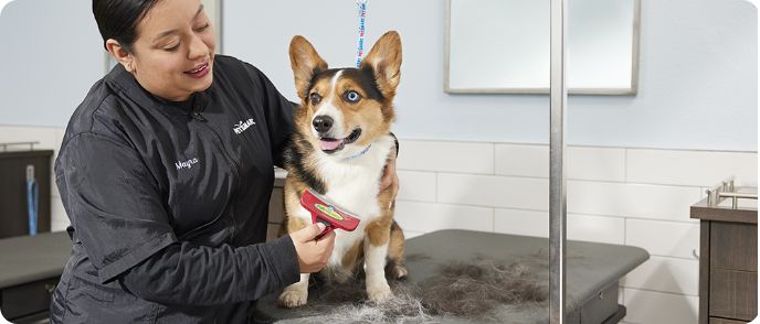 Petsmart Grooming