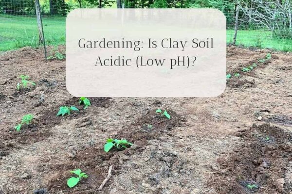 Is Clay Soil Acid or Alkaline
