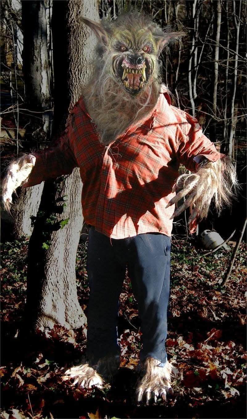 Werewolf Costume