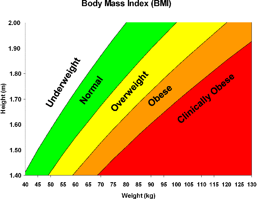 BMI Formula Explained