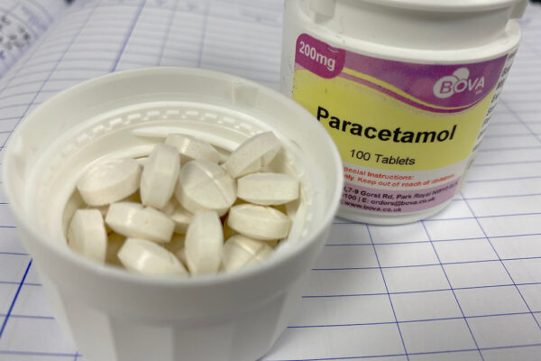 Paracetamol dose for 20kg dog