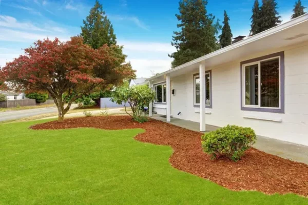 7 Hidden Costs of Ignoring Garden Maintenance