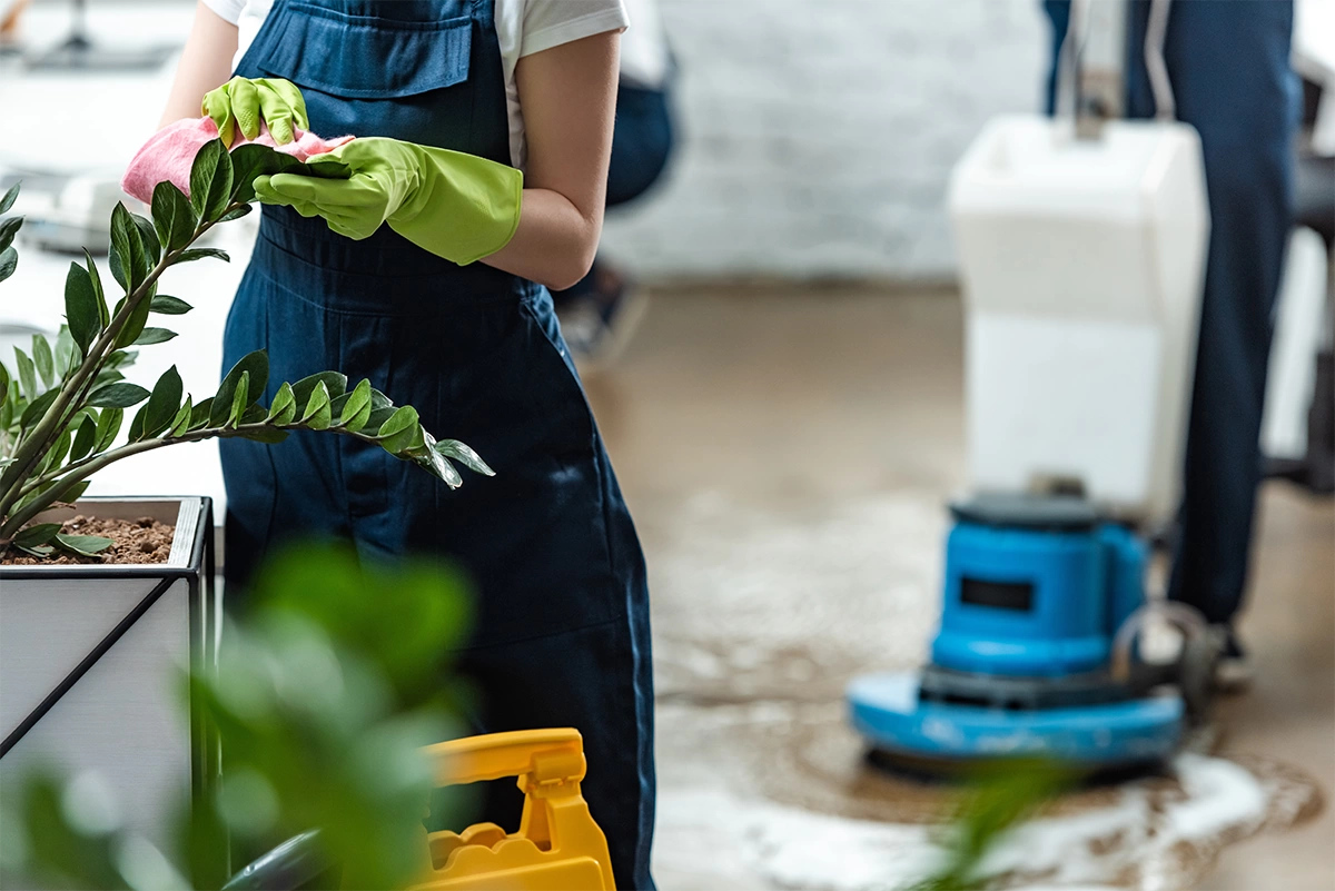 End of Tenancy Cleaning Checklist to Get Your Deposit Back A Tenant's Guide and the 5 Best London Cleaners